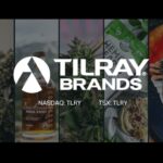 Tilray Brands, Inc. Logo