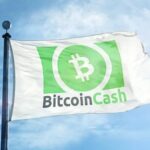 Bitcoin Cash (COIN: $BCH)