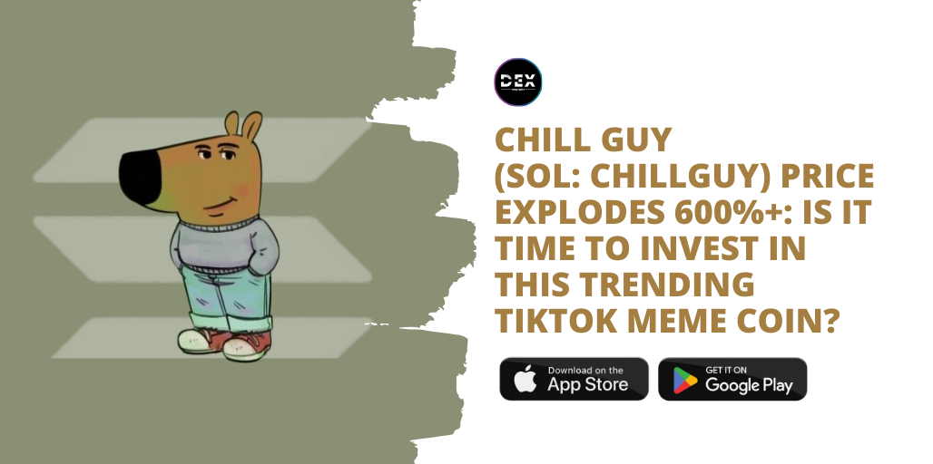 Chill Guy (SOL: CHILLGUY) Price Explodes 600%+: Is It Time To Invest In This Trending TikTok Meme Coin?