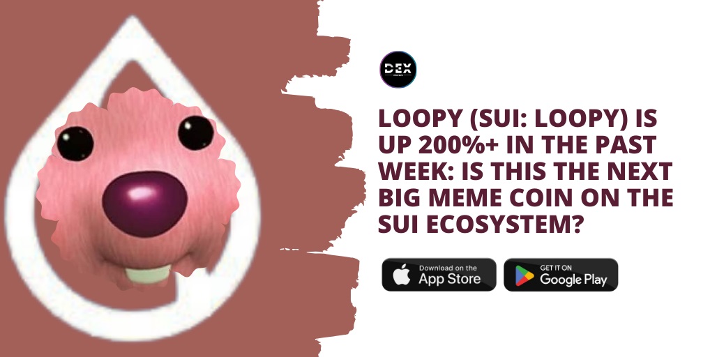 LOOPY (SUI: LOOPY) IS Up 200%+ In The Past Week: Is This The Next Big Meme Coin On The Sui Ecosystem?