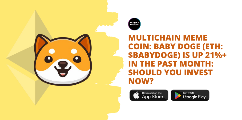 Multichain Meme Coin: Baby Doge (ETH: BABYDOGE) Is Up 21%+ in the Past Month: Should You Invest Now?