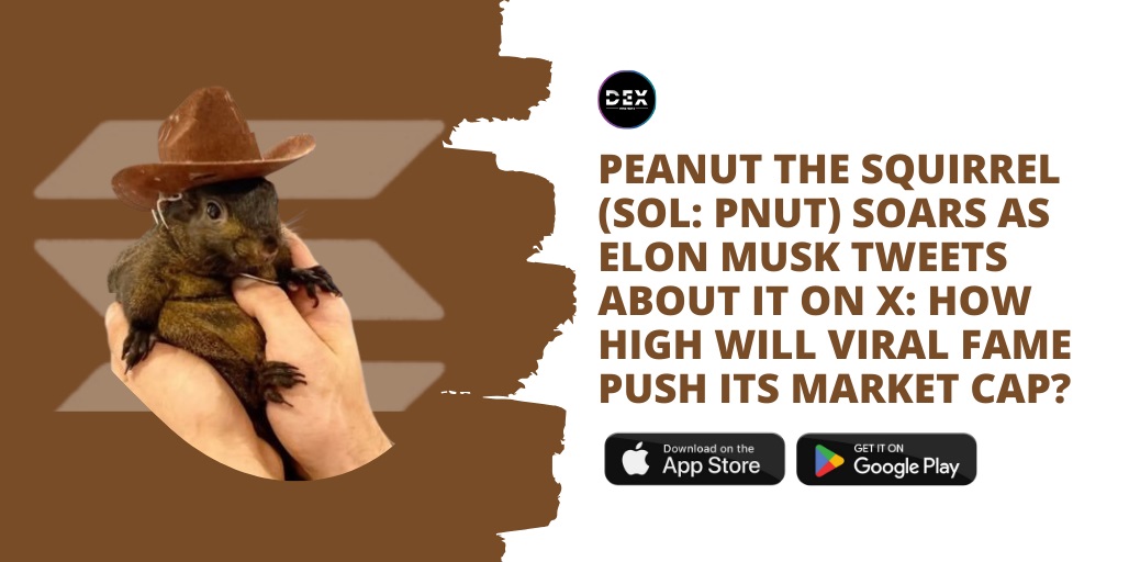 Peanut The Squirrel (SOL: PNUT) Soars As Elon Musk Tweets About It On X: How High Will Viral Fame Push Its Market Cap?