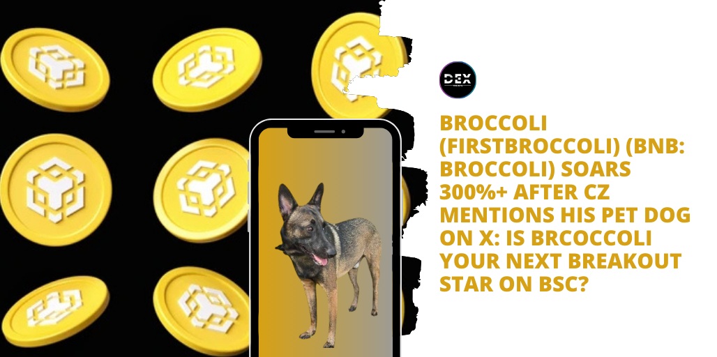 Broccoli (FirstBroccoli) (BNB: BROCCOLI) Soars 300%+ After CZ Mentions His Pet Dog On X: Is BROCCOLI Your Next Breakout Star On BSC?