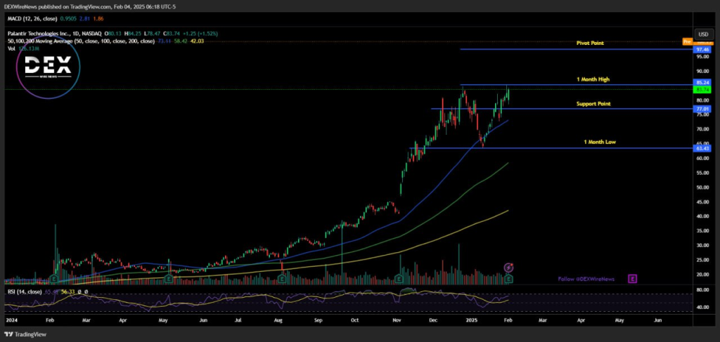 Palantir (NASDAQ: PLTR)