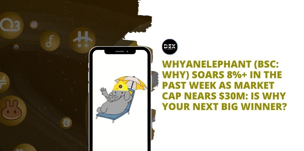 Whyanelephant (BSC: WHY) Soars 8%+ In The Past Week As Market Cap Nears $30M: Is Why Your Next Big Winner?