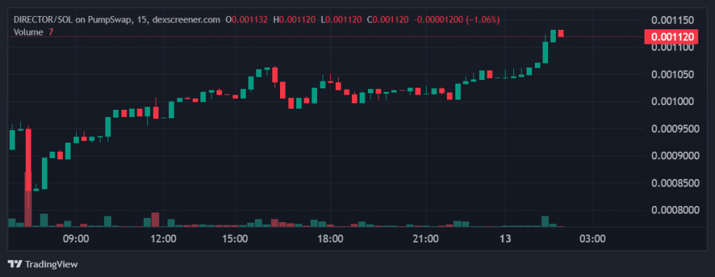 Director On Sol (SOL:$DIRECTOR)